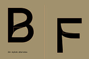 Karl – Cool Sans w Unique Alternates, a Sans Serif Font by Local Desk Designstudio (Thumbnail 26 of 28)