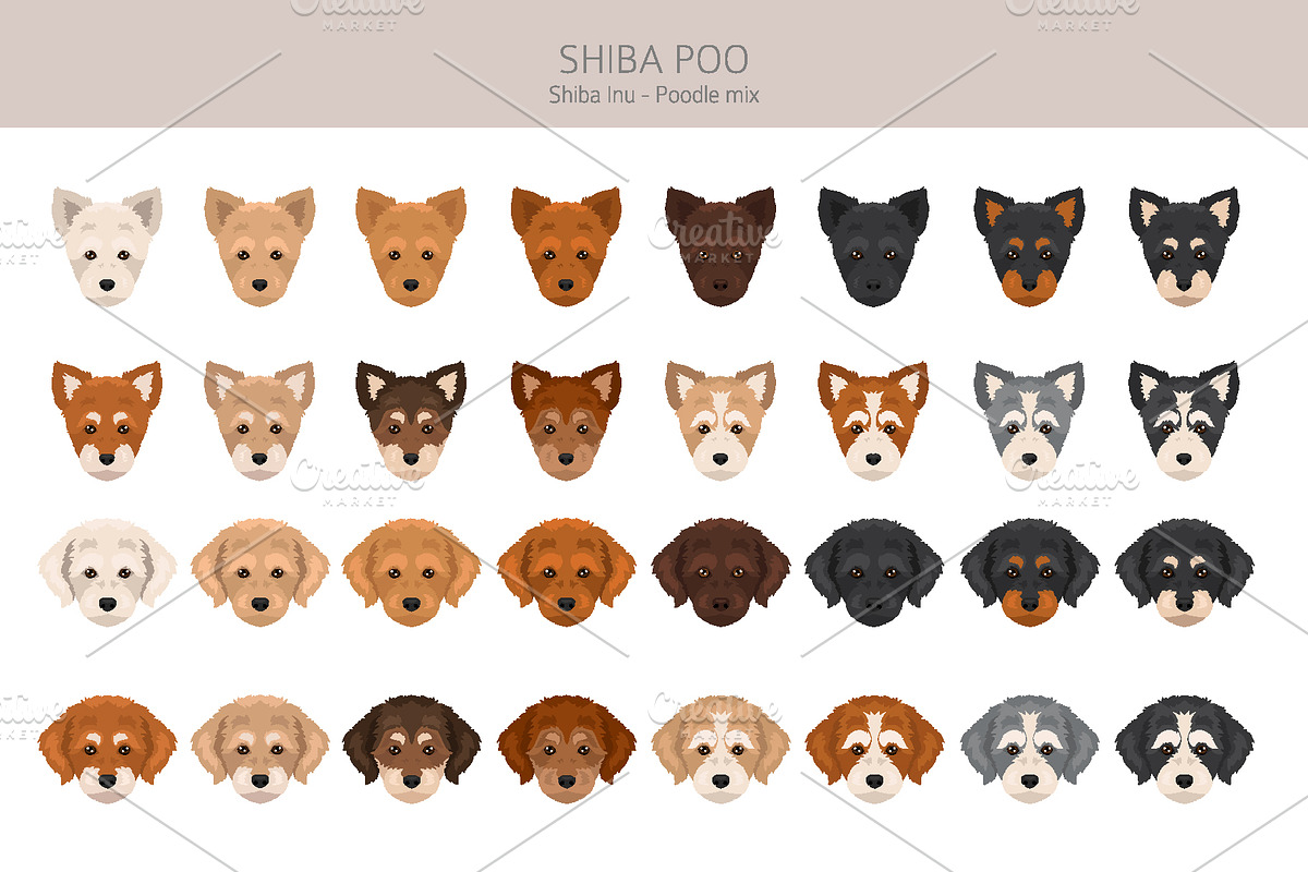 Shiba Poo (Shiba Inu Poodle mix), an Animal Illustration by pet design shop (Photo 4 of 5)