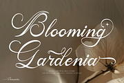 Mamylinus | Beautiful Calligraphy, a Serif Font by Denustudios (Thumbnail 9 of 12)