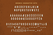 Bronco Valley - Vintage Serif, a Serif Font by Variatype (Thumbnail 6 of 8)