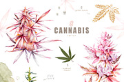 Cannabis. Marijuana harvest set., a Decorative Illustration by Ann Art Houze (Thumbnail 3 of 10)