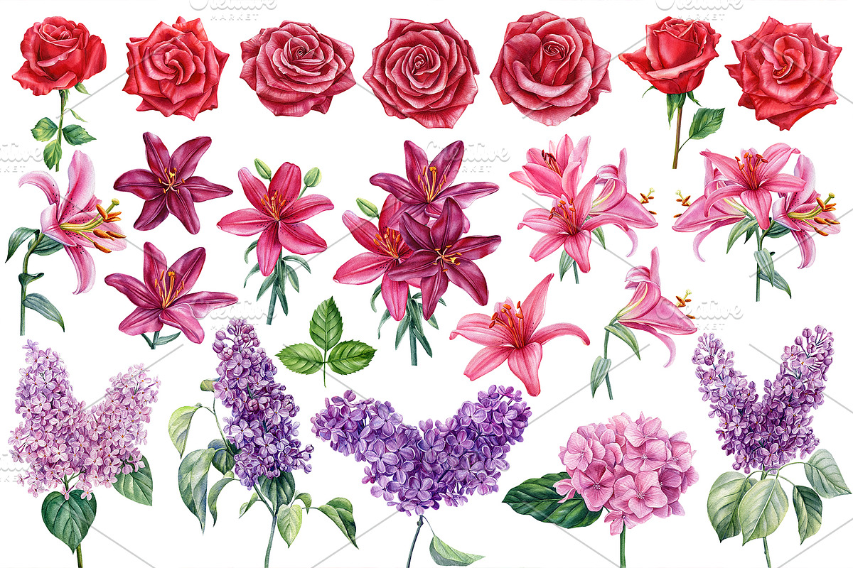 Garden Flowers hand drawn watercolor, a Decorative Illustration by Hanna Hryharenka (Photo 5 of 16)