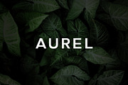 Aurel - An Open Sans Serif Typeface, a Sans Serif Font by Cassandra Cappello (Thumbnail 1 of 5)