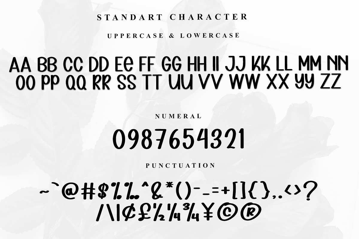 Minimalist, a Serif Font by InermediaSTUDIO (Photo 1 of 7)