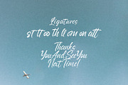 Anthony Louis - Modern Script Font, a Script Font by StringLabs (Thumbnail 11 of 11)