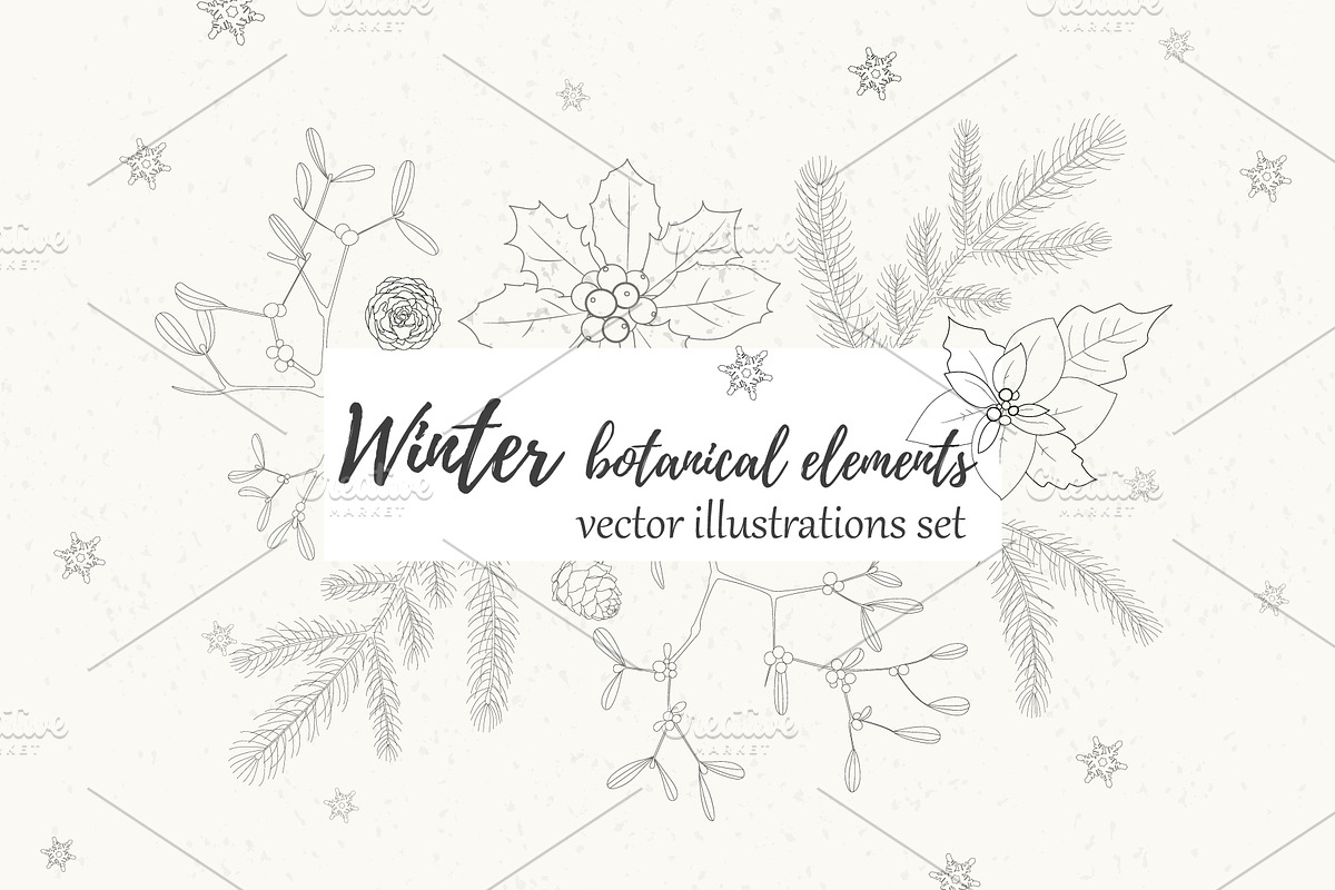 Winter collection botanical elements, a Decorative Illustration by itiir (Photo 1 of 2)