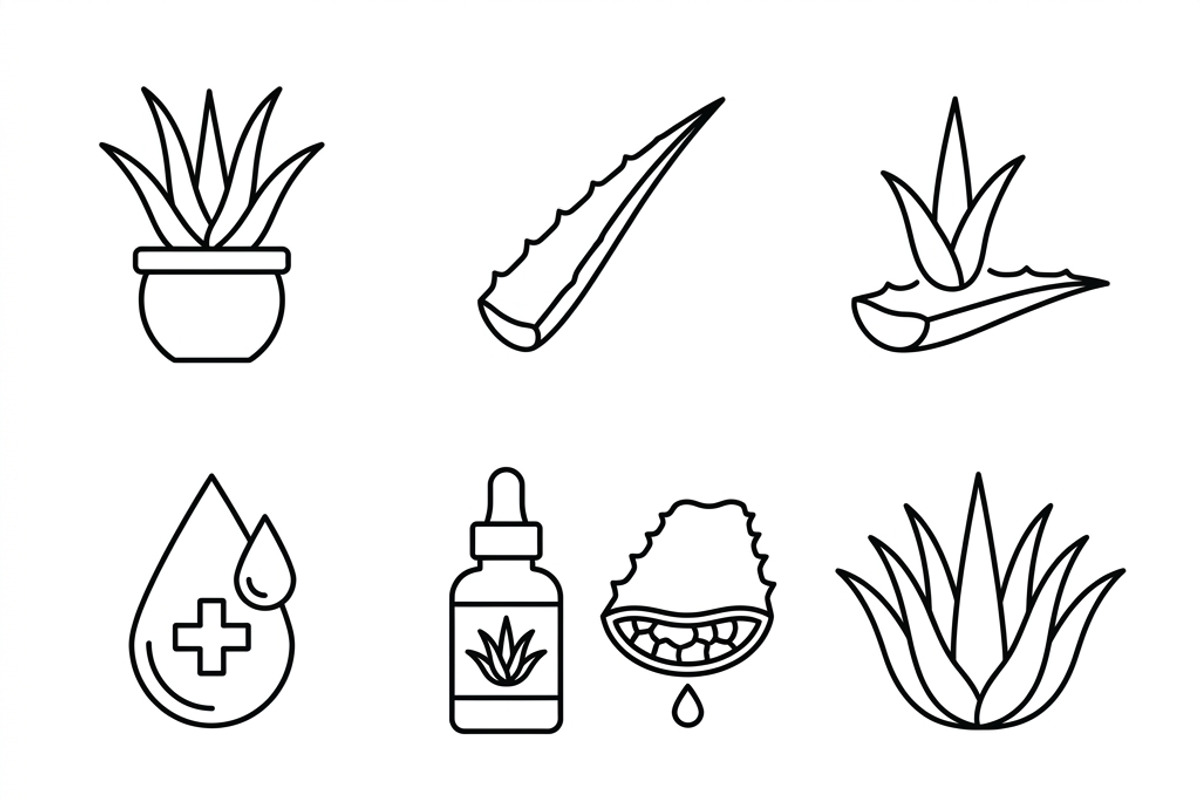 Bundles Set Organic Cosmetic Icons, an Outline Icon by adenpinkstore (Photo 8 of 11)