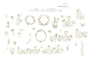 Daisy Wildflowers Butterfly Clipart