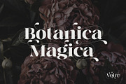 Voire - Elegant Serif family, a Serif Font by creativemedialab (Thumbnail 10 of 21)