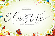 Elastic, a Script Font by artisans (Thumbnail 1 of 9)