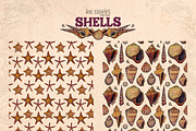 Shells, an Animal Illustration by Ink Stories (Thumbnail 18 of 21)