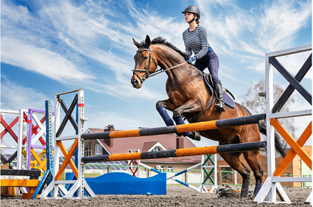 Equestrian sport. Show jumping, a Sports & Recreation Photo by serkum