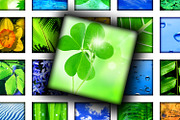Collage Sheet - Moments of Nature, a Print Template by Kseniya-Omega (Thumbnail 3 of 3)