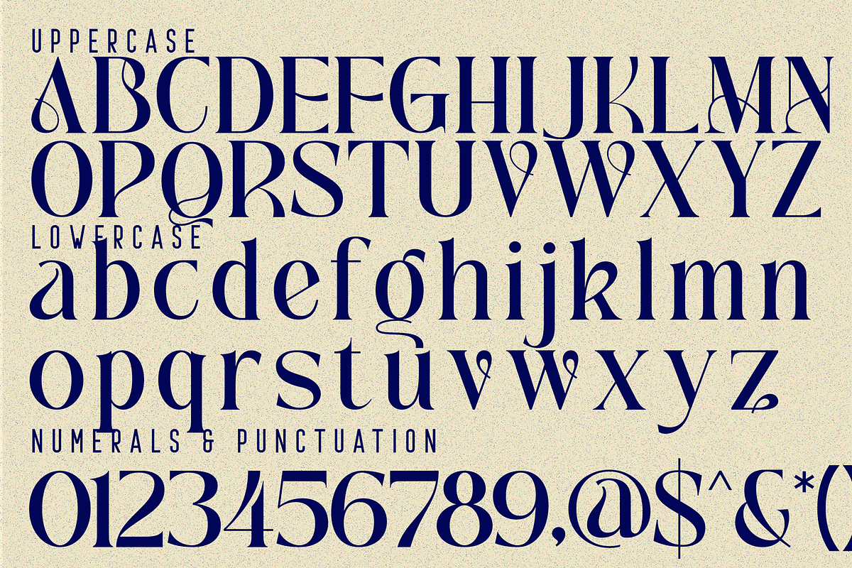 Traditional Aesthetic - Modern Serif, a Serif Font by 177Studio (Photo 7 of 8)