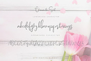 Springfield Font Duo, a Script Font by Chocotype Std (Thumbnail 10 of 12)