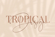 Oliva Serif Font, a Serif Font by Salt & Pepper Designs (Thumbnail 3 of 10)