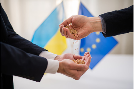 Ukraine exports wheat to Europe, a Business Photo by HalfPoint