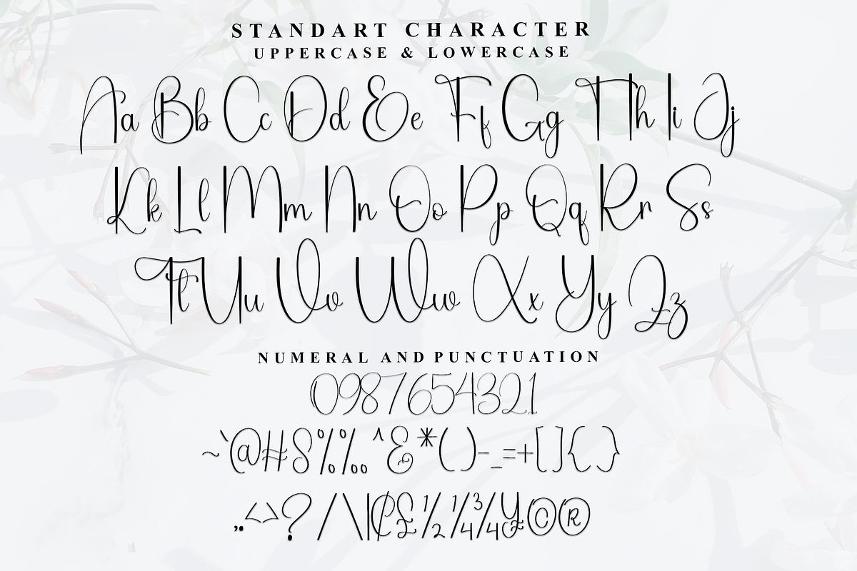 Santa Beautiful, a Handwritten Font by FreshTypeINK (Photo 3 of 8)