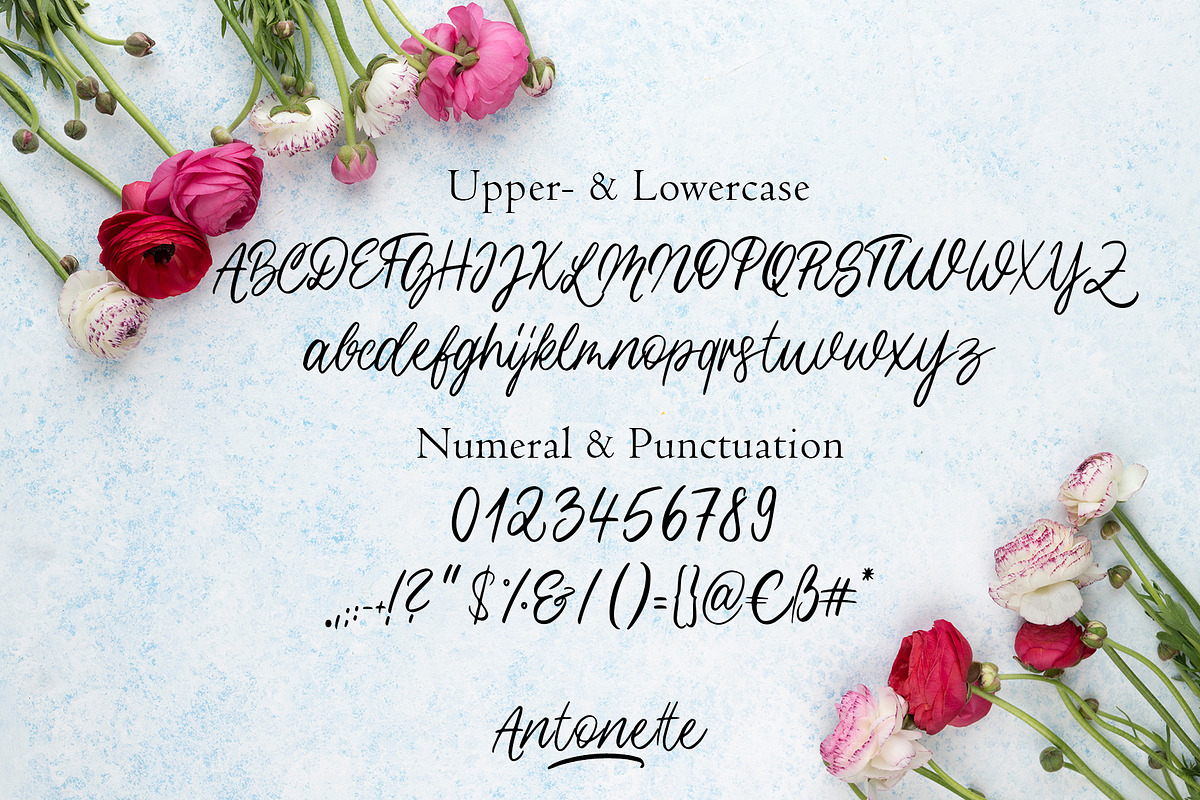 Antonette - Handwritten Font preview 5