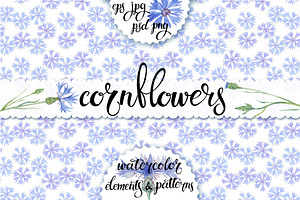 Cornflowers. Watercolor set.