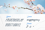 Shelley - Elegant Handwritten Script, a Script Font by Luna Shop (Thumbnail 2 of 6)