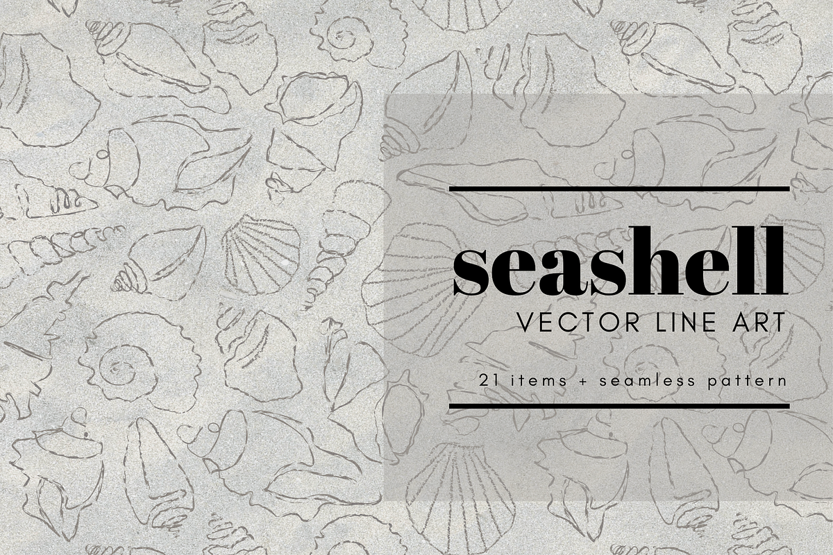 Seashell vector line art, an Illustration by Zeukaa (Photo 1 of 4)