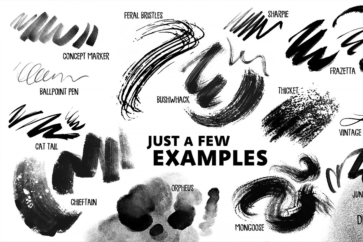 Lane's Photoshop Master Pack, a Brush Add-On by Lane Draws (Photo 13 of 17)