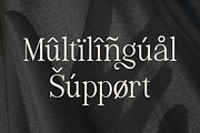 Luxeline - Stylish Elegant Font, a Serif Font by Say Studio (Thumbnail 10 of 10)