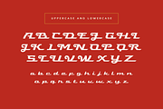 Visca - Vintage Script Font, a Script Font by Sronstudio (Thumbnail 11 of 13)