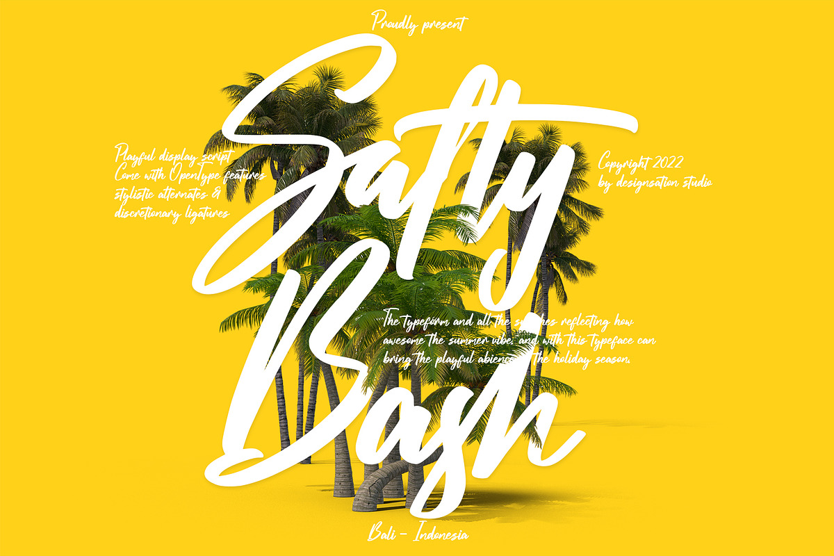Salty Bash Tropical Script, a Script Font by Designsation (Photo 1 of 10)