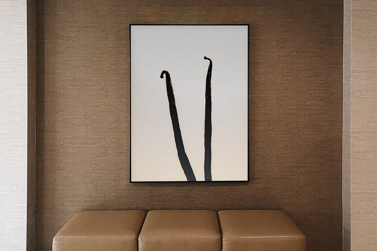 Vanilla Pods, an Arts & Entertainment Photo by Marie Dumora (Photo 4 of 5)