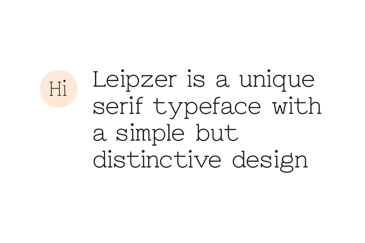 Leipzer - The Simple Serif Typeface, a Serif Font by Designova® (Photo 2 of 9)
