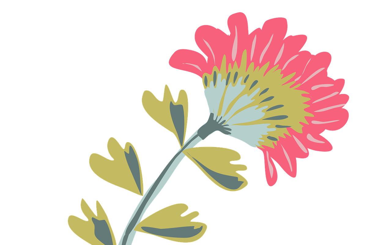 Flower Clip Art 27 Elements, an Illustration by Karen Fields Design (Photo 3 of 3)