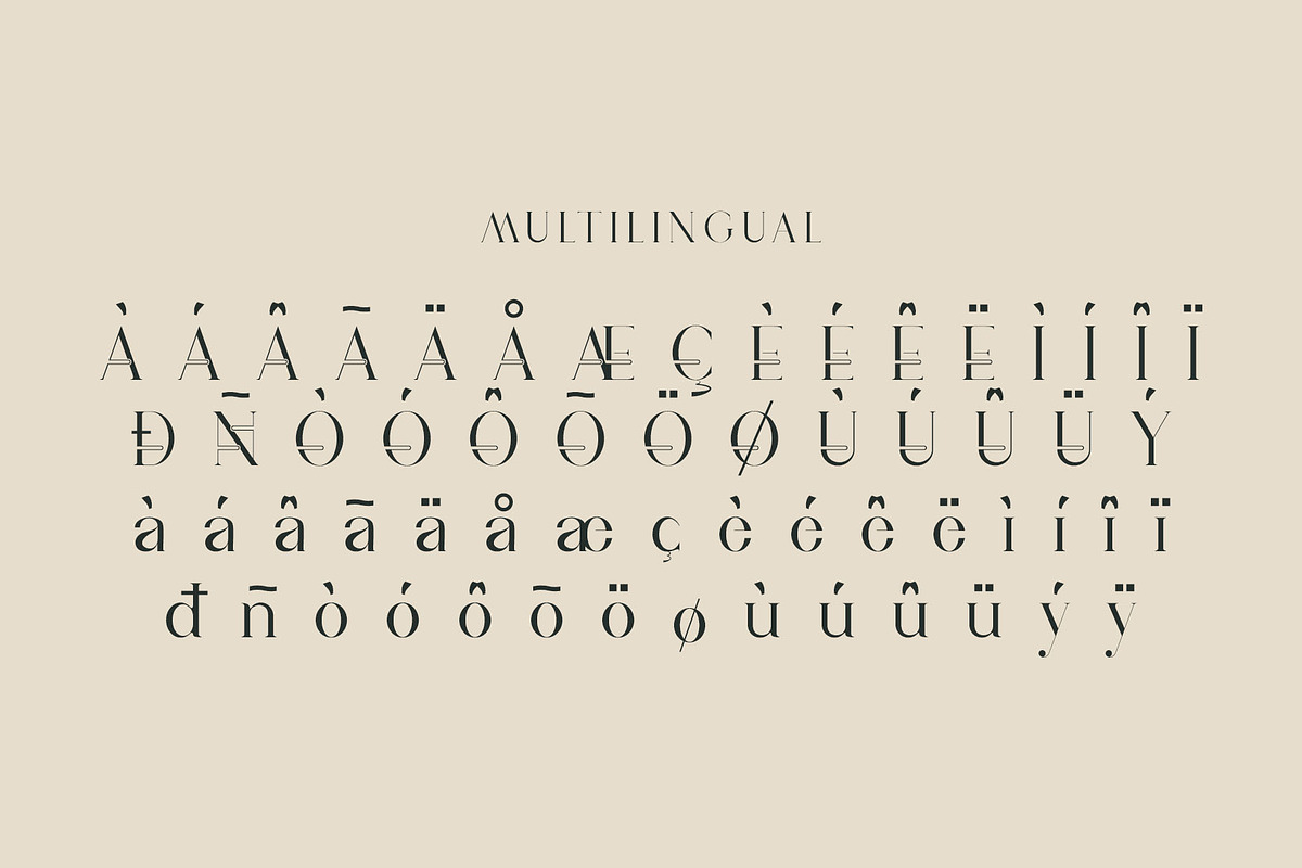 vindea Ligature Serif Typeface, a Serif Font by Humaira_std (Photo 10 of 11)