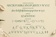 Caramile - Classy Elegant Serif Font, a Serif Font by Font Liner (Thumbnail 10 of 10)