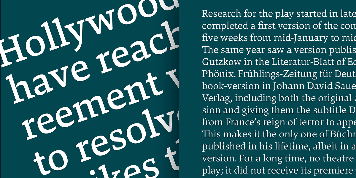 Danton, a Serif Font by Hoftype (Photo 6 of 15)