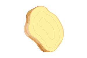 Ginger root. Aromatic herbal spice, a Food Illustration by the8monkey