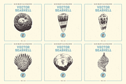 VECTOR SEASHELL HAND DRAWN BUNDLE 22, an Illustration by pawellpi (Thumbnail 5 of 10)
