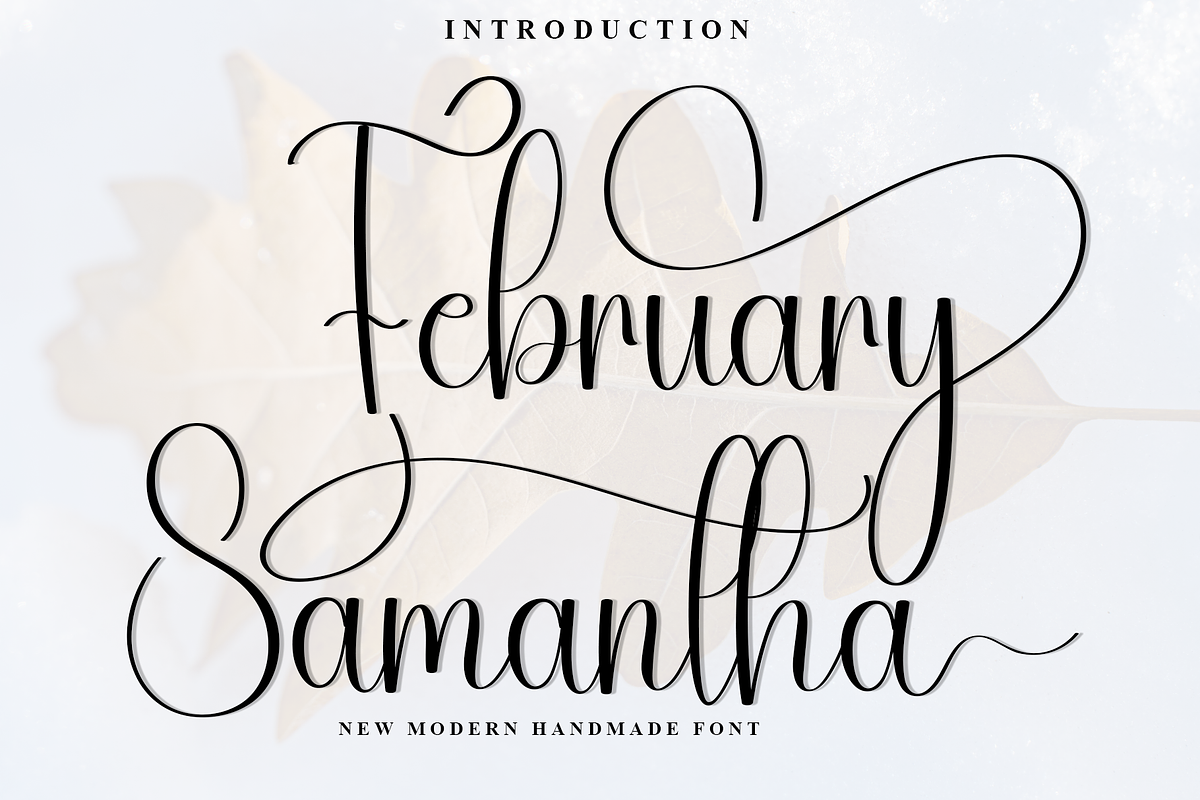 February Samantha, a Handwritten Font by InermediaSTUDIO (Photo 1 of 8)