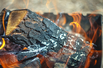 Burning fire in the grill with logs. Close-up. Concept of forest, a Nature Photo by TanaCh