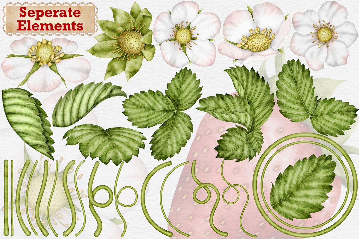 Strawberry Watercolor Tea Party., a Food Illustration by Happy Sloth Graphics (Photo 4 of 13)