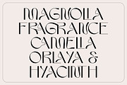 Kaldera - Modern Sans Serif Display, a Font by Surplus Type Co (Thumbnail 9 of 11)