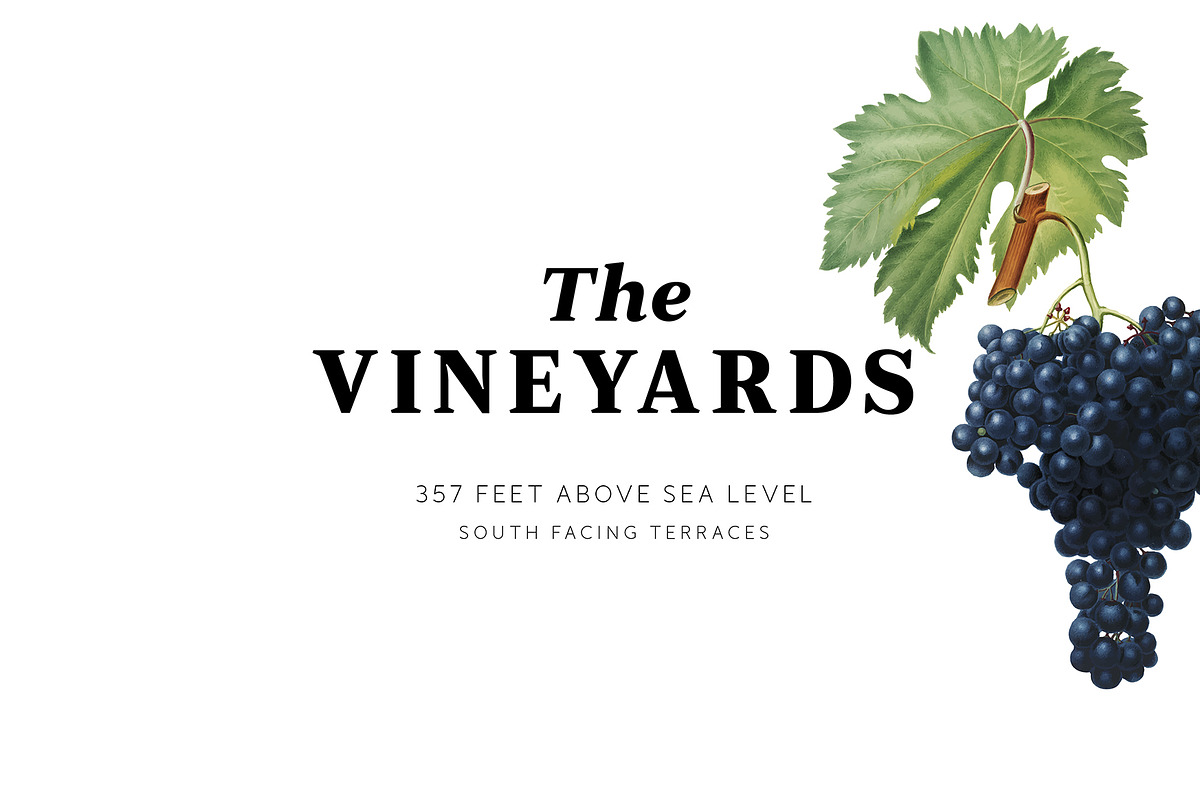 JT Douro Serif preview 4
