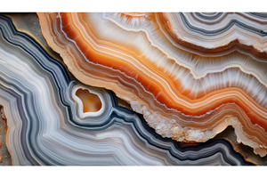 Close-up of vibrant orange and white, a Background Photo by Igor Tichonow