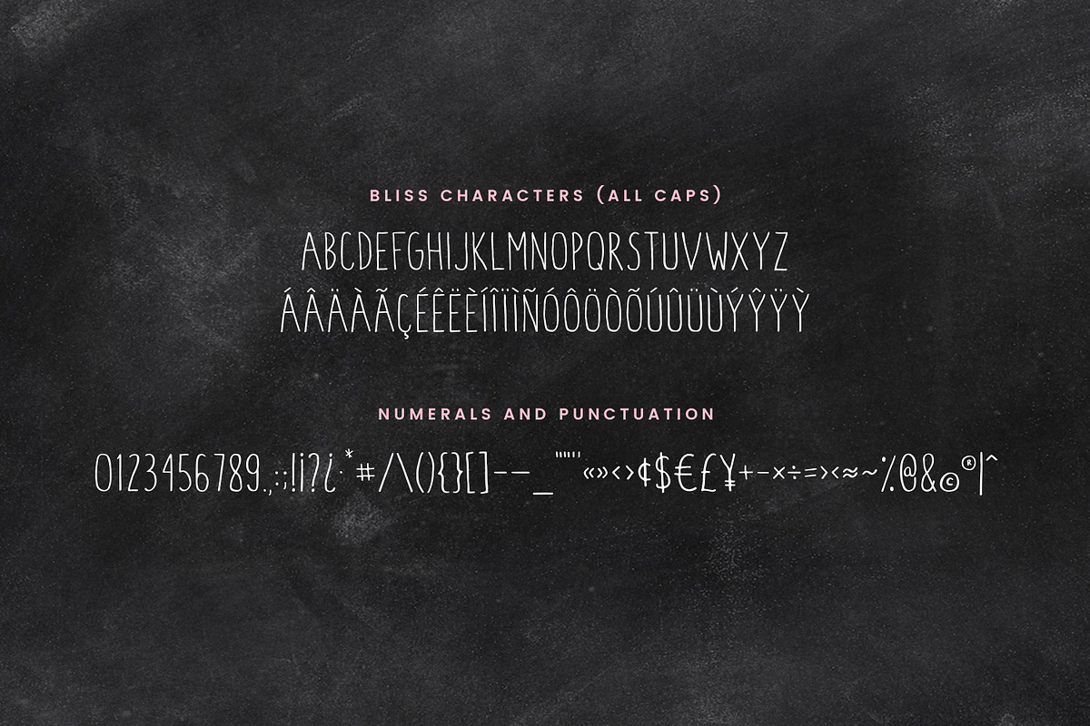 Blush & Bliss | A Font Duo preview 4