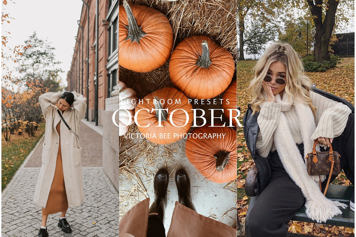 Fall Lightroom Presets Bundle, a Preset Add-On by Victoria Bee Presets (Photo 6 of 17)