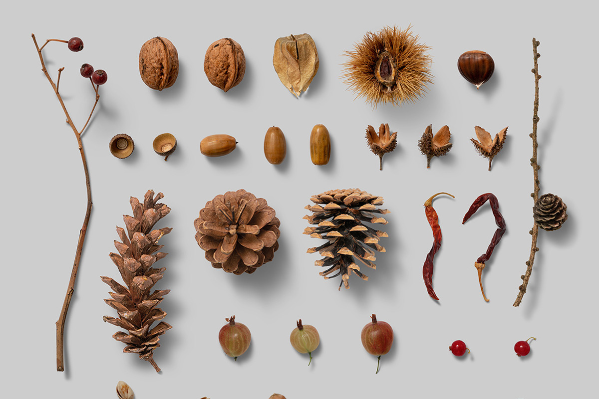 Nature Scene Generator, a Product Mockup by h3design (Photo 15 of 19)