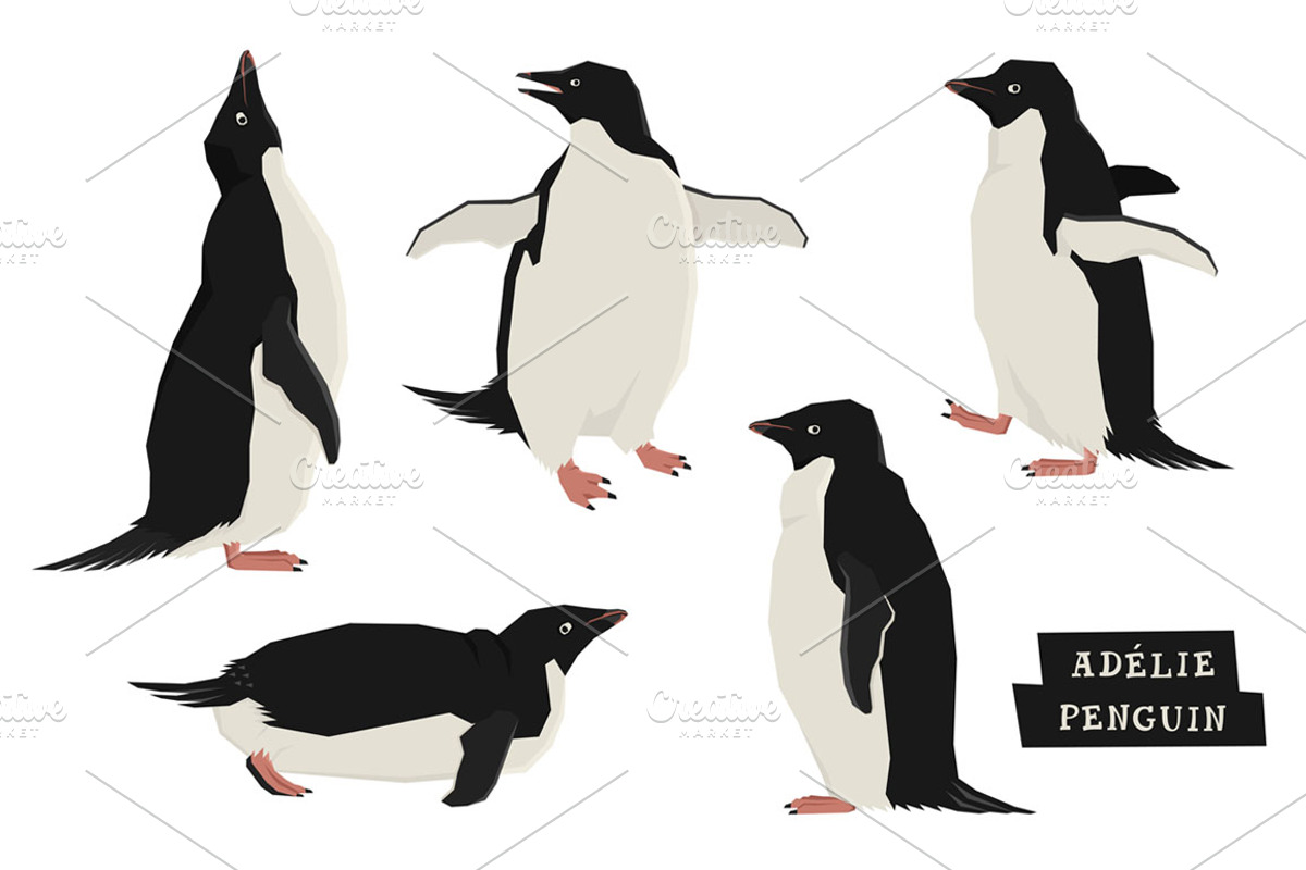 Adélie penguins Vector illustrations, an Object Graphic by Nenilkime