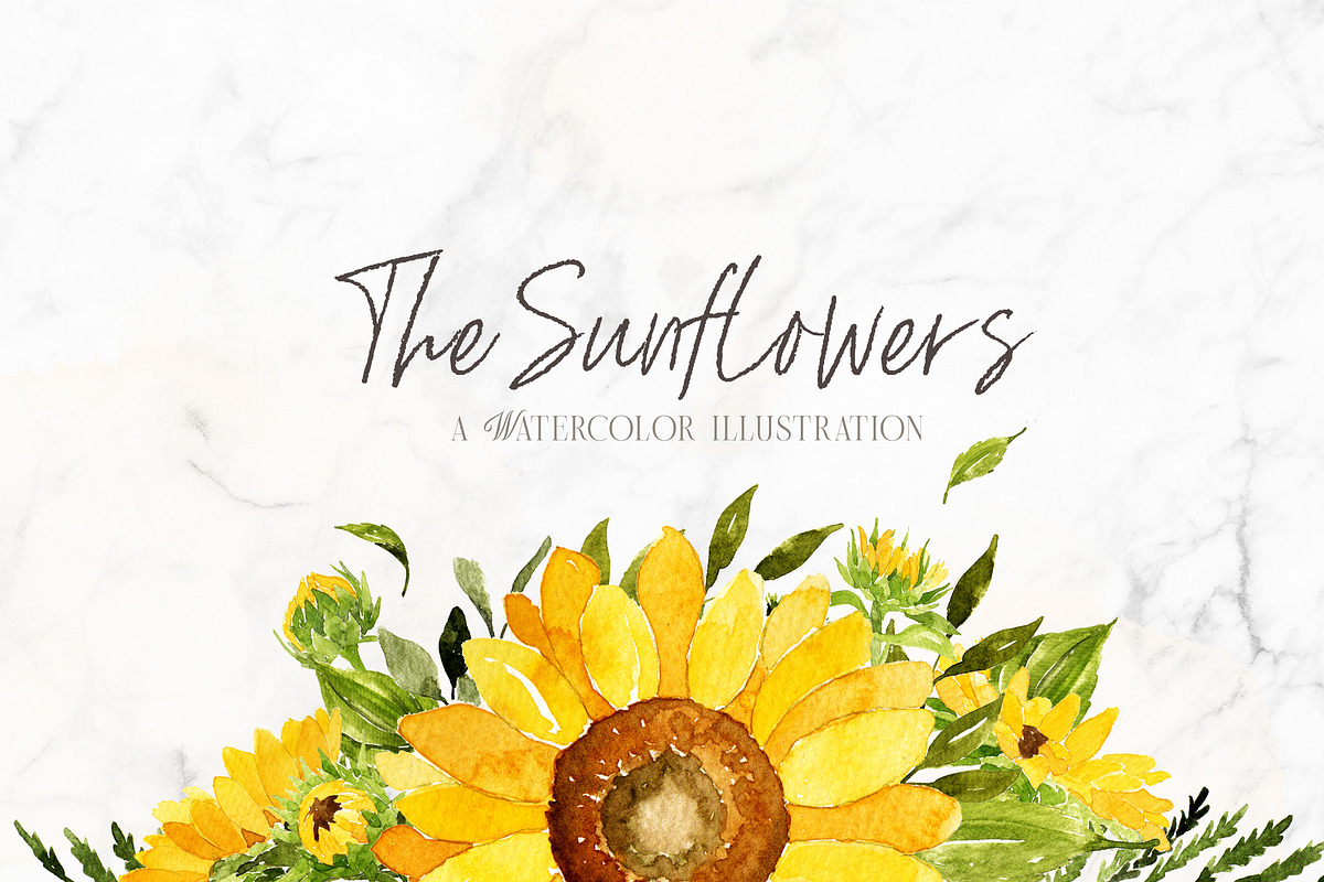 Watercolor Sunflowers, a Decorative Illustration by BlueRobinDesignShop (Photo 1 of 4)