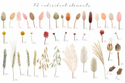 Big romantic dried flower set, a Texture Illustration by marie dricot (Thumbnail 10 of 18)